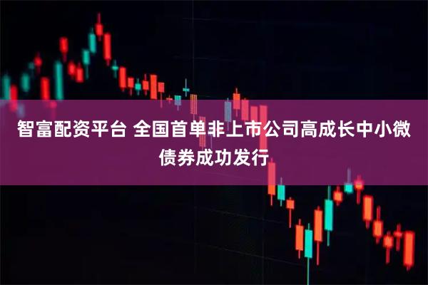 智富配資平臺 全國首單非上市公司高成長中小微債券成功發行
