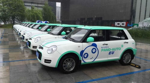 共享汽車夢碎 前重慶首富的滑鐵盧與行業(yè)反思